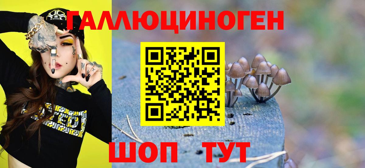Псилоцибиновые грибы GOLDEN TEACHER Нефтекумск